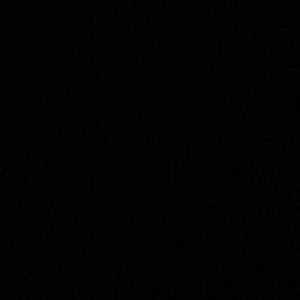 Meet your Posher, Gracie